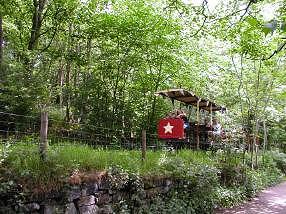 Shipley Glen tramway. pic:DStockdale